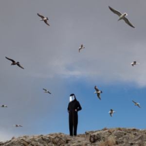 Hamerkop - Remote in der Gruppe VINYL bei Bengans Skivbutik AB (3719408)