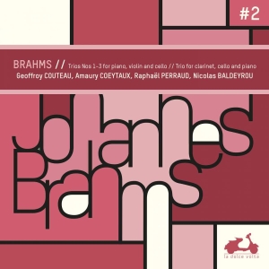 Brahms Johannes - Piano Trios & Clarinet Trio in der Gruppe CD bei Bengans Skivbutik AB (3725039)