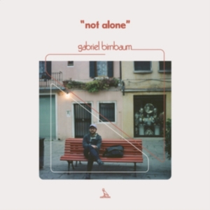 Birnbaum Gabriel - Not Alone in der Gruppe CD / Pop-Rock bei Bengans Skivbutik AB (3725844)