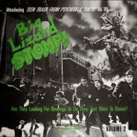 Various Artists - Big Lizard Stomp in der Gruppe VINYL / Bestseller bei Bengans Skivbutik AB (3726298)