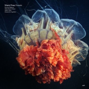 Silent Fires - Forests in der Gruppe CD bei Bengans Skivbutik AB (3727042)