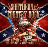 Southern & Country Rock - Various in der Gruppe CD / Pop-Rock bei Bengans Skivbutik AB (3727049)