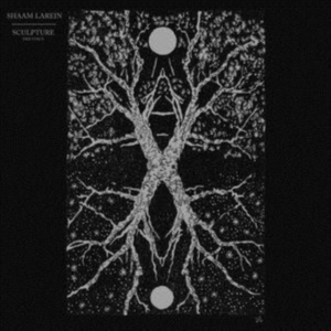 Larein Shaam - Sculpture in der Gruppe CD / Pop-Rock bei Bengans Skivbutik AB (3727115)