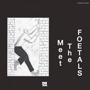 Foetals The - Meet The Foetals in der Gruppe VINYL / Pop-Rock bei Bengans Skivbutik AB (3728570)