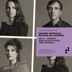 Brahms Johannes - Integrale Musique De Chambre - Sona in der Gruppe Externt_Lager / Naxoslager bei Bengans Skivbutik AB (3728693)
