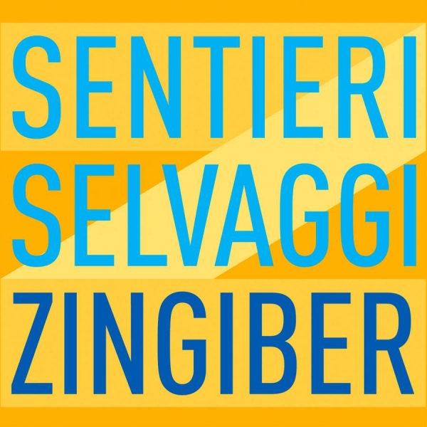 Various - Zingiber in der Gruppe Externt_Lager / Naxoslager bei Bengans Skivbutik AB (3729253)