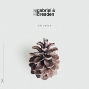 Gabriel & Dresden - Remedy in der Gruppe CD / Pop-Rock bei Bengans Skivbutik AB (3729786)