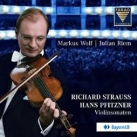 Strauss/Pfitzner - Violinsonaten in der Gruppe CD bei Bengans Skivbutik AB (3731549)