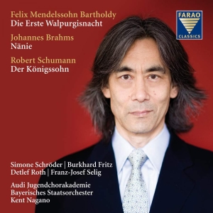 Mendelssohn Bartholdy/Brahms/Schuma - Mendelssohn Bartholdy/Brahms in der Gruppe Externt_Lager / Naxoslager bei Bengans Skivbutik AB (3731554)