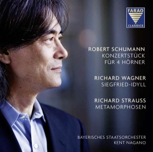 Schumannrobert/Wagnerrichard/Stra - Konzertstück/Siegfried-Idyll/Metam. in der Gruppe CD bei Bengans Skivbutik AB (3731614)