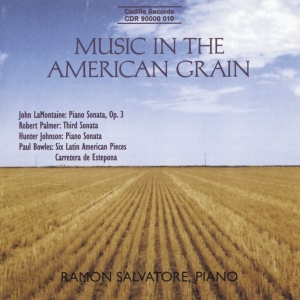 Various - Music In The American Grain in der Gruppe CD bei Bengans Skivbutik AB (3734589)