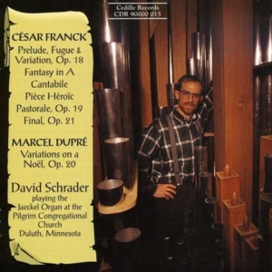 Franck/Dupre - Organ Music in der Gruppe Externt_Lager / Naxoslager bei Bengans Skivbutik AB (3734594)