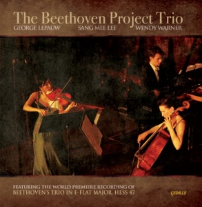 Beethoven Ludwig Van - The Beethoven Project Trio in der Gruppe CD bei Bengans Skivbutik AB (3734724)