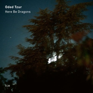 Tzur Oded - Here Be Dragons (Lp) in der Gruppe Externt_Lager / Naxoslager bei Bengans Skivbutik AB (3736663)