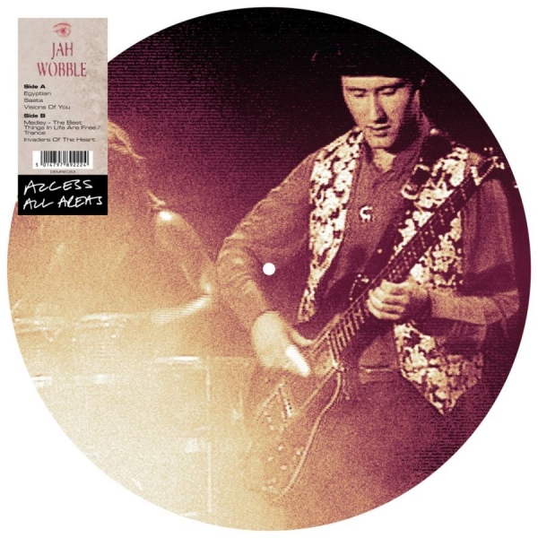 Wobble Jah - Access All Areas - Pic.Disc. in der Gruppe VINYL / Hårdrock/ Heavy metal bei Bengans Skivbutik AB (3742110)