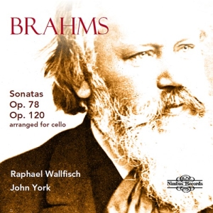 Brahms Johannes - Sonatas, Opp. 78 & 120 (Arranged Fo in der Gruppe CD / Klassiskt bei Bengans Skivbutik AB (3743338)