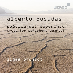 Posadas Alberto - Poetica Del Laberinto - Cycle For S in der Gruppe Externt_Lager / Naxoslager bei Bengans Skivbutik AB (3743362)