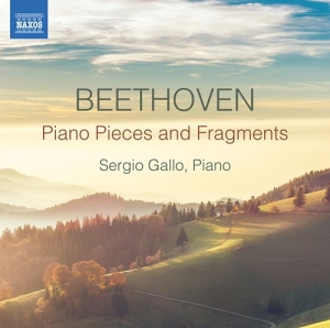 Various - Piano Pieces & Fragments in der Gruppe Externt_Lager / Naxoslager bei Bengans Skivbutik AB (3743500)