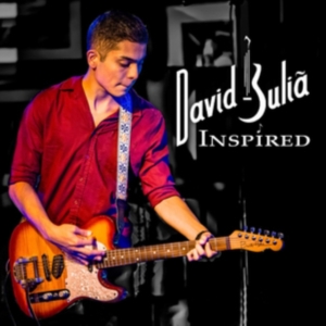 Julia David - Inspired in der Gruppe CD / Blues,Jazz bei Bengans Skivbutik AB (3744448)