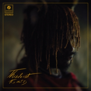 THUNDERCAT - IT IS WHAT IT IS (RED VINYL) in der Gruppe UNSERE TIPPS / Årsbästalistor 2020 / Uncut 2020 bei Bengans Skivbutik AB (3746603)