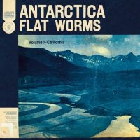Flat Worms - Antarctica in der Gruppe VINYL / Pop-Rock bei Bengans Skivbutik AB (3747649)