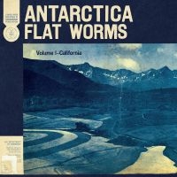 Flat Worms - Antarctica in der Gruppe Pop-Rock bei Bengans Skivbutik AB (3747681)