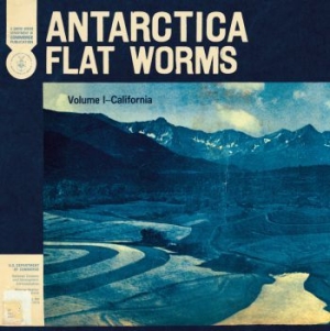 Flat Worms - Antarctica in der Gruppe CD / Rock bei Bengans Skivbutik AB (3747697)