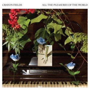 Crayon Fields - All The Pleasures Of The World (Blu in der Gruppe VINYL / Pop-Rock bei Bengans Skivbutik AB (3747730)