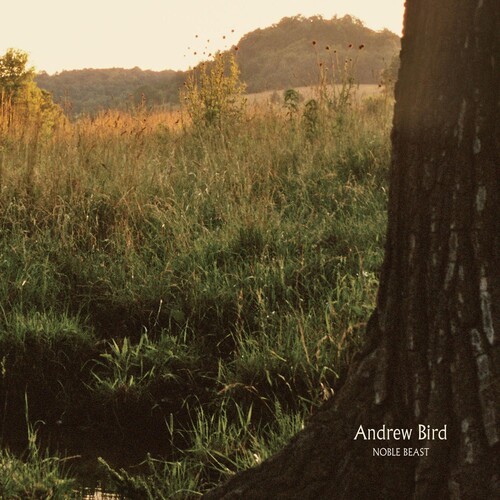 Andrew Bird - Noble Beast in der Gruppe VINYL / Pop bei Bengans Skivbutik AB (3753735)
