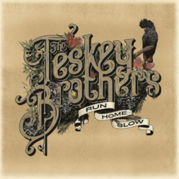 Teskey Brothers - Run Home Slow in der Gruppe CD / Bestseller bei Bengans Skivbutik AB (3756007)
