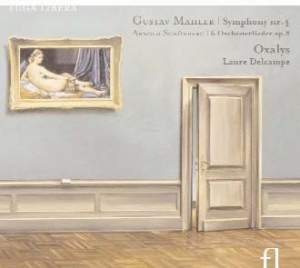Mahler / Schönberg - Mahler / Schönberg / Symphonie N°4 in der Gruppe Externt_Lager / Naxoslager bei Bengans Skivbutik AB (3758061)