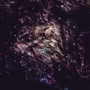 Psychonaut - Unfold The Man (2 Lp Vinyl) in der Gruppe VINYL / Hårdrock bei Bengans Skivbutik AB (3758306)