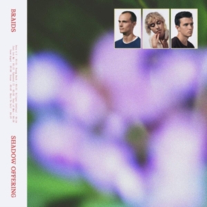 Braids - Shadow Offering (Opaque Red) in der Gruppe VINYL / Pop-Rock bei Bengans Skivbutik AB (3762204)