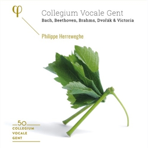 Various - 50Th Anniversary (6 Cd) in der Gruppe CD bei Bengans Skivbutik AB (3762814)