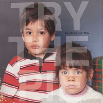 Try The Pie - Domestication in der Gruppe VINYL / Rock bei Bengans Skivbutik AB (3763699)