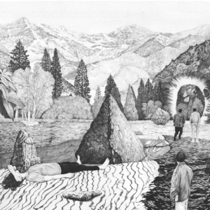 Collette Ned - Old Chestnut (International Only) in der Gruppe VINYL bei Bengans Skivbutik AB (3763764)