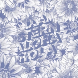 Stern D.A. - Aloha Hola in der Gruppe VINYL / Pop-Rock bei Bengans Skivbutik AB (3763824)