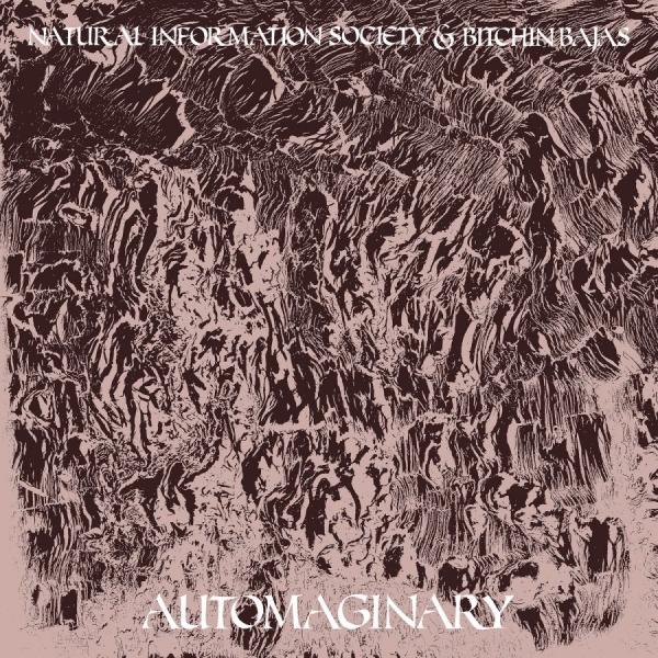 Bitchin Bajas & Natural Information - Automaginary in der Gruppe VINYL / Bestseller bei Bengans Skivbutik AB (3763842)