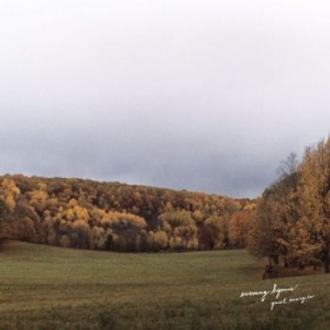 Evening Hymns - Quiet Energies in der Gruppe CD / Pop-Rock bei Bengans Skivbutik AB (3763968)