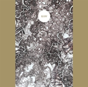 Synapse - Raw in der Gruppe Övrigt /  bei Bengans Skivbutik AB (3764323)