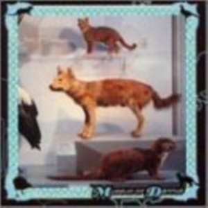 Cohen Danny - Museum Of Dannys in der Gruppe CD bei Bengans Skivbutik AB (3764415)