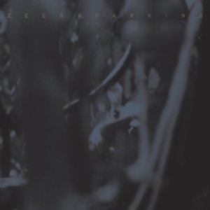 Zeena Parkins - Double Dupe Down in der Gruppe CD bei Bengans Skivbutik AB (3764440)