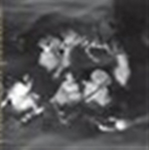 Phantom Orchard Orchestra - Trouble In Paradise in der Gruppe CD bei Bengans Skivbutik AB (3764580)