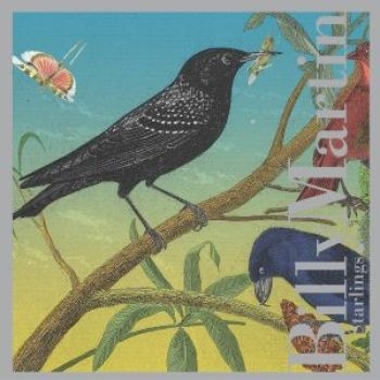Martin Billy - Starlings in der Gruppe CD / Jazz/Blues bei Bengans Skivbutik AB (3764616)