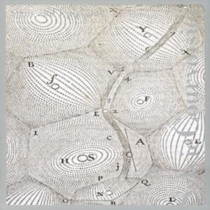 Sylvie Courvoisier - Signs And Epigrams in der Gruppe Övrigt /  bei Bengans Skivbutik AB (3764623)