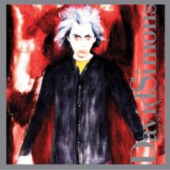 Simons David - Fung Sha Noon in der Gruppe CD / Pop bei Bengans Skivbutik AB (3764654)