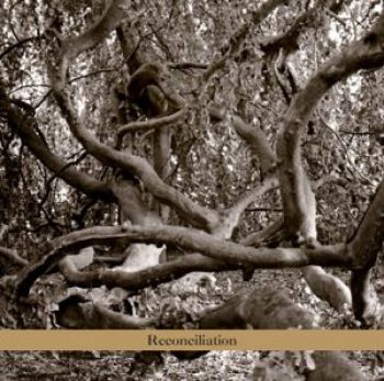 Daphna Sadeh And The Voyagers - Reconciliation in der Gruppe CD / Worldmusic/ Folkmusik bei Bengans Skivbutik AB (3764713)