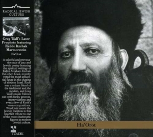 Greg Wall's Later Prophets Featurin - Lights Of Rav Kook in der Gruppe Övrigt /  bei Bengans Skivbutik AB (3764716)