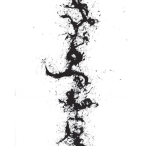 Zorn John - True Discoveries Of Witches And Dem in der Gruppe Övrigt / bei Bengans Skivbutik AB (3764785)