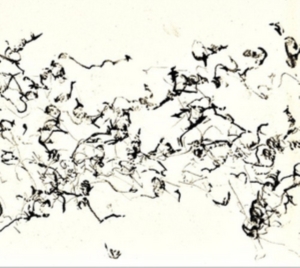 Zorn John - There Is No More Firmament in der Gruppe CD bei Bengans Skivbutik AB (3764798)